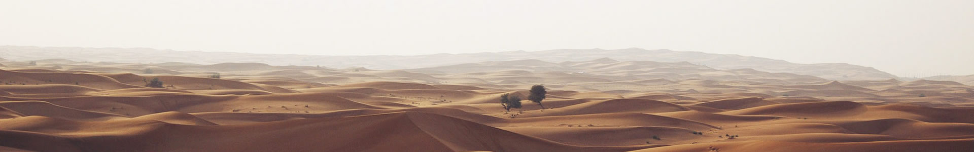 ïƽó޹˾